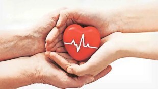 brain dead organs donate marathi news