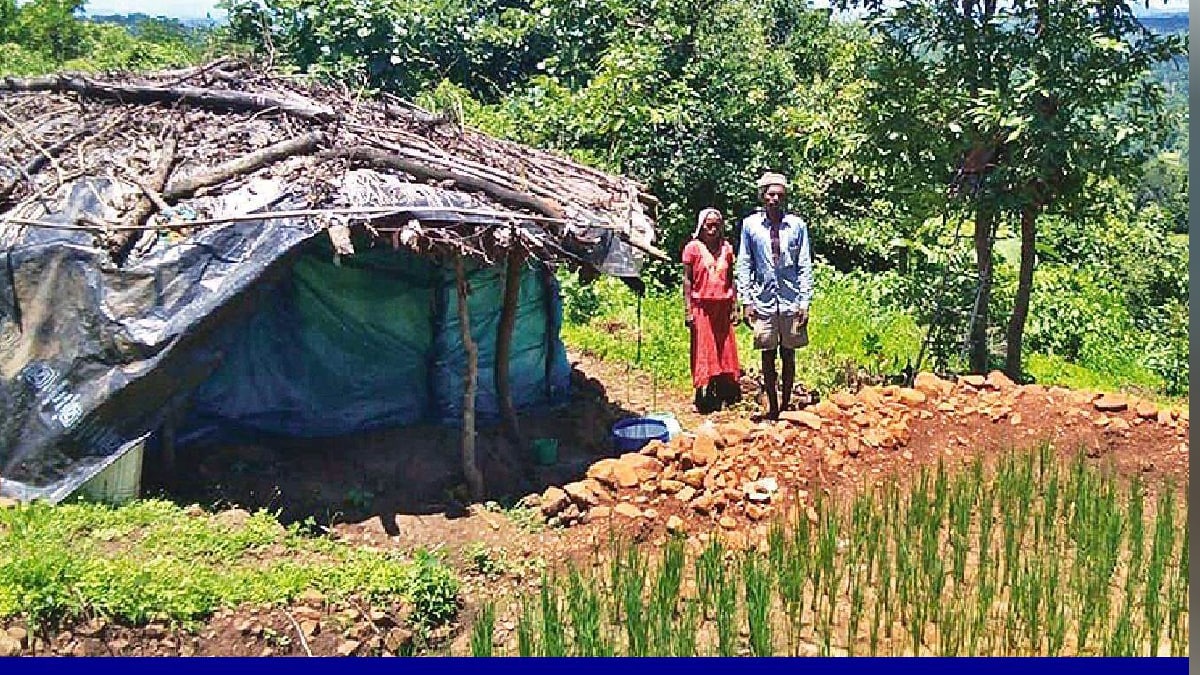 Shinde Fadnavis government forest rights Tribal farmers