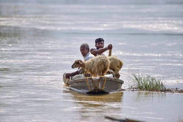 Assam Flood