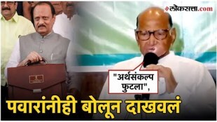 Sharad Pawars reaction on the budget