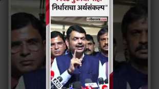 Deputy Chief Minister Devendra Fadnavis reaction on the budget