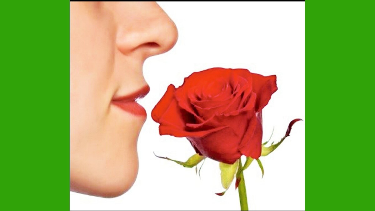 loksatta kutuhal sense of smell and artificial intelligence