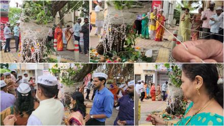 At Pimpale Gurav of Pimpri Chinchwad men celebrate vatpaurnima for wife