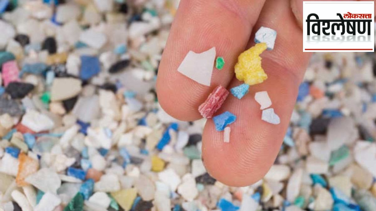 microplastics in penise