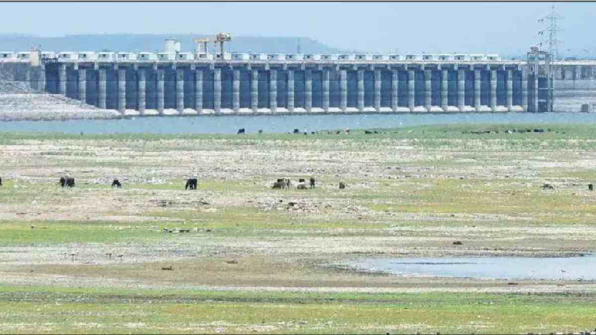 mumbai water supply dams 5 percent Capacity, Low Rainfall in dam area, Water Shortage Concerns for Mumbai, Low Rainfall in mumbai water suuply dams, Mumbai news, water news