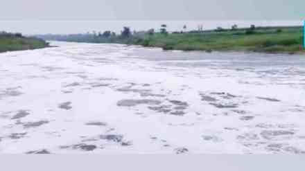 Chemical Contamination in Panchganga River, Panchganga River kolhapur, Panchganga River Milky White, shirol taluka, Kolhapur district, Panchganga River news,