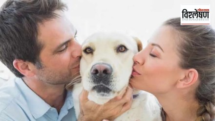 pets concerns Are we loving our pets to death