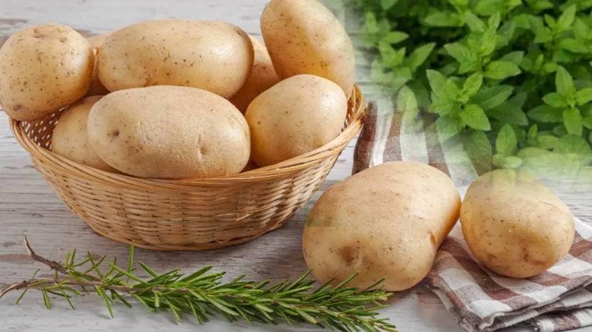 Lifestyle Potato Hacks