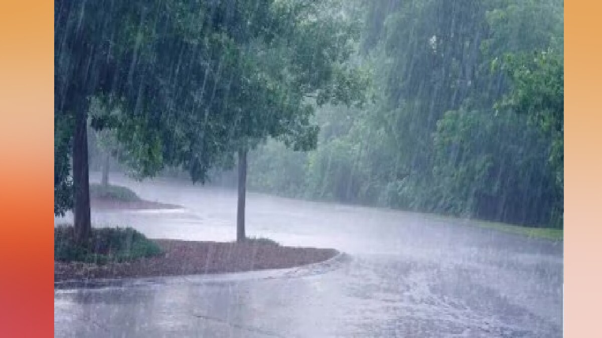 Eight people died due to rain in Marathwada in seven days