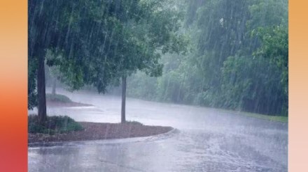 Eight people died due to rain in Marathwada in seven days