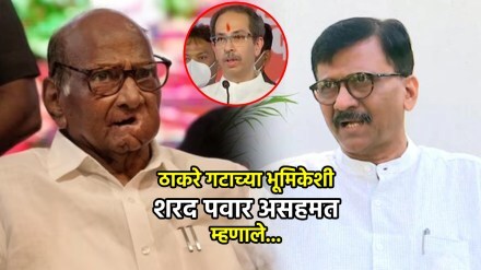 sharad pawar marathi news (2)
