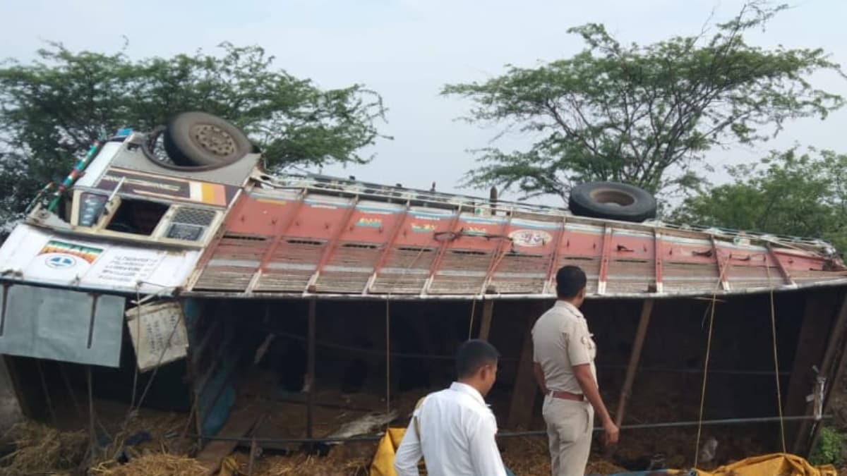 80 sheep died after truck overturned