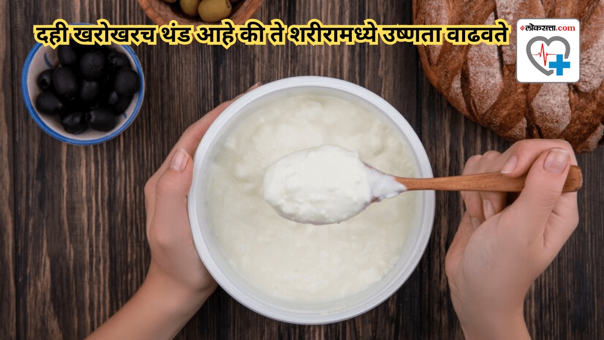 Is curd really cooling or does it increase heat in the body How does yogurt affect the body Learn from the experts