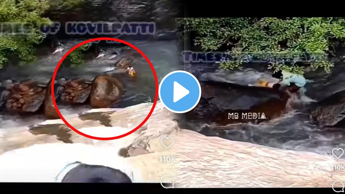 video having fun with the kids under the waterfall suddenly the water level rose and the picture changed shocking video goes viral