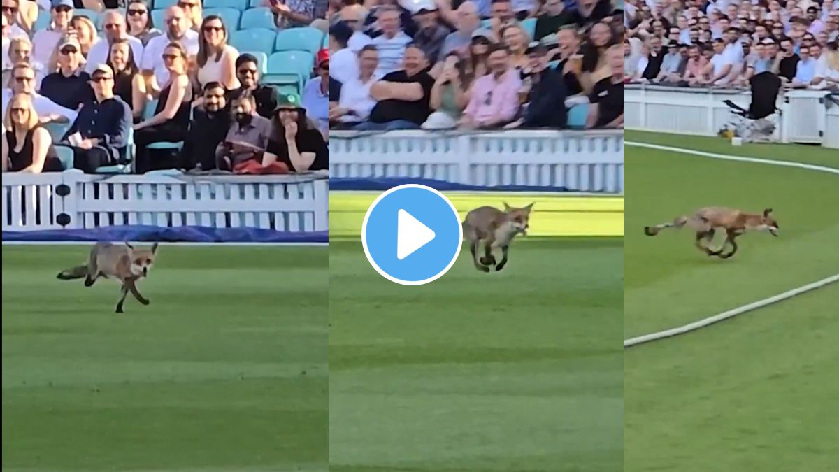 Fox Vitality T20 Blast Viral Video