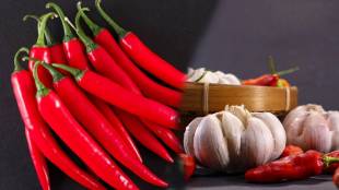 How To Make Home Made Laal Mirchicha Or Red Chili Thecha in Marathi Note Down Maharashtrian Spicy Recipe Try Ones At Your Home