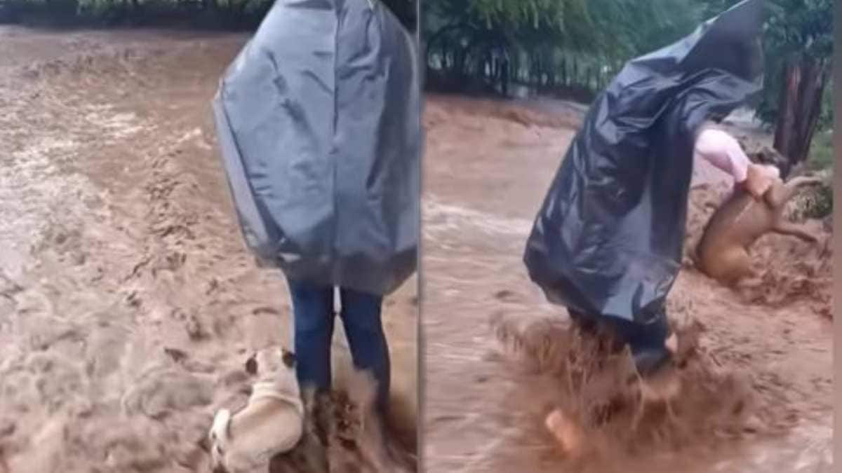 young woman taking a puppy into a flood