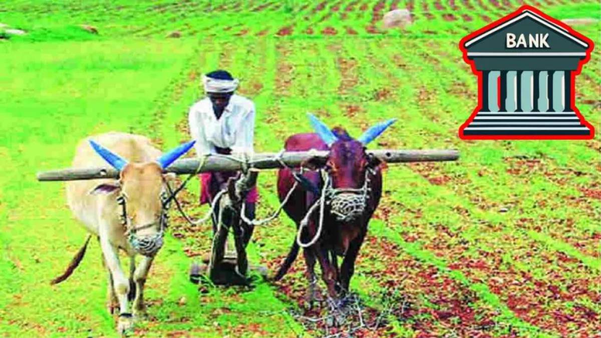 farmers, akola, crop loan akola, banks,