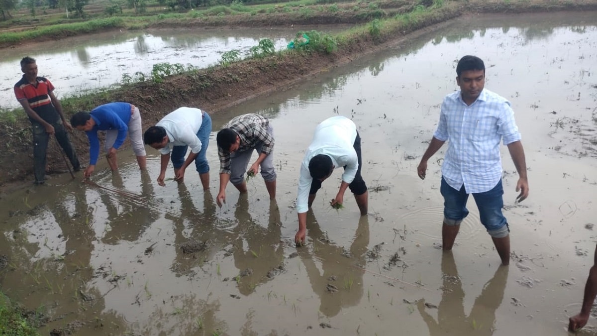 Chandrapur, Collector, CEO,