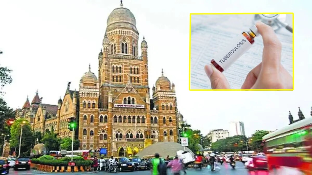 tb counselor bmc marathi news