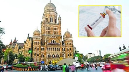 tb counselor bmc marathi news