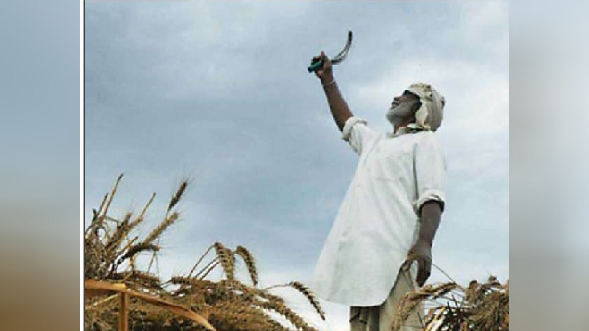 Announcement of new schemes for farmers under state budget funds