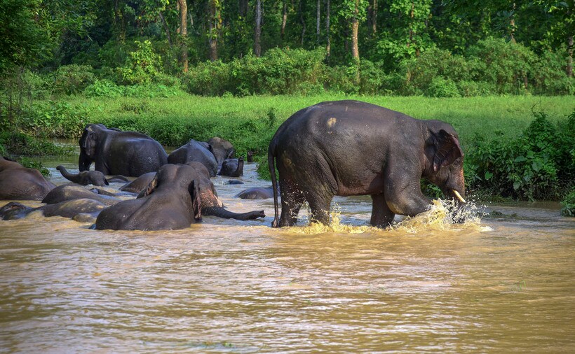 assam, floods, northeast india, landslides, assam live update, northeast india weather report, indian express