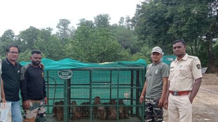 Tourists banned for two days in Bhimkund waterfall area due to monkeys