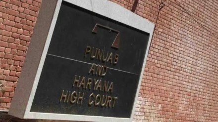 punjab and haryana high court observation live in relationships