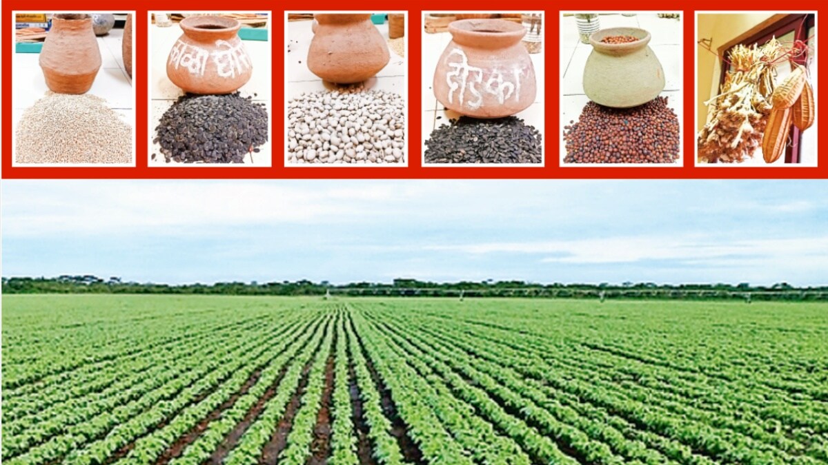 article about seed bank in shirol taluka