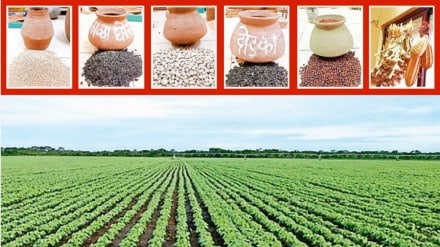 article about seed bank in shirol taluka