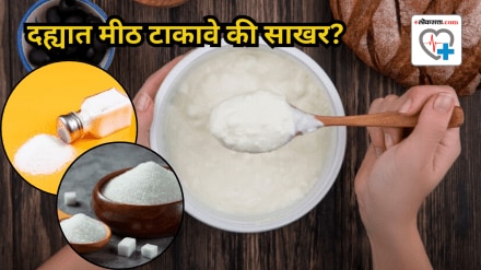 Curd with salt or sugar Find out which is better for you