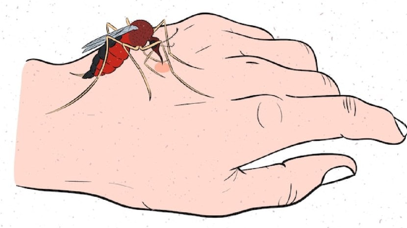 malaria causes symptoms and precautions in marathi