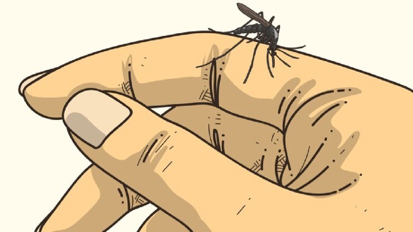 malaria causes symptoms and precautions in marathi
