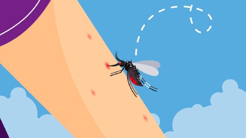 malaria causes symptoms and precautions in marathi