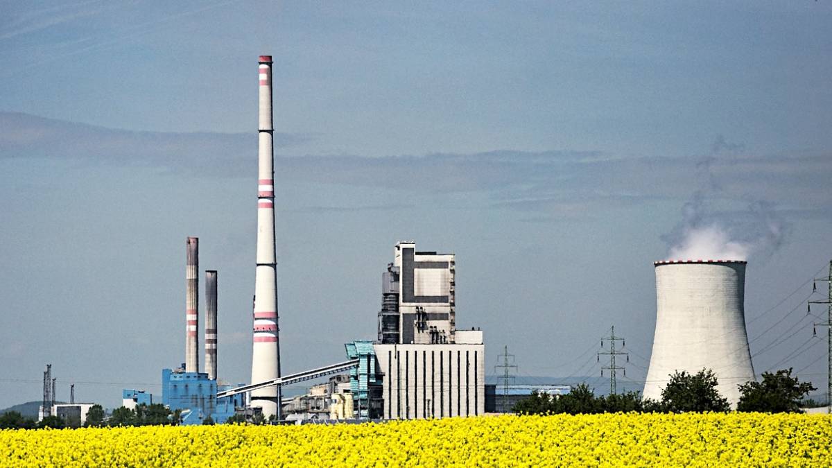 Biofuels, sustainable, India energy needs,