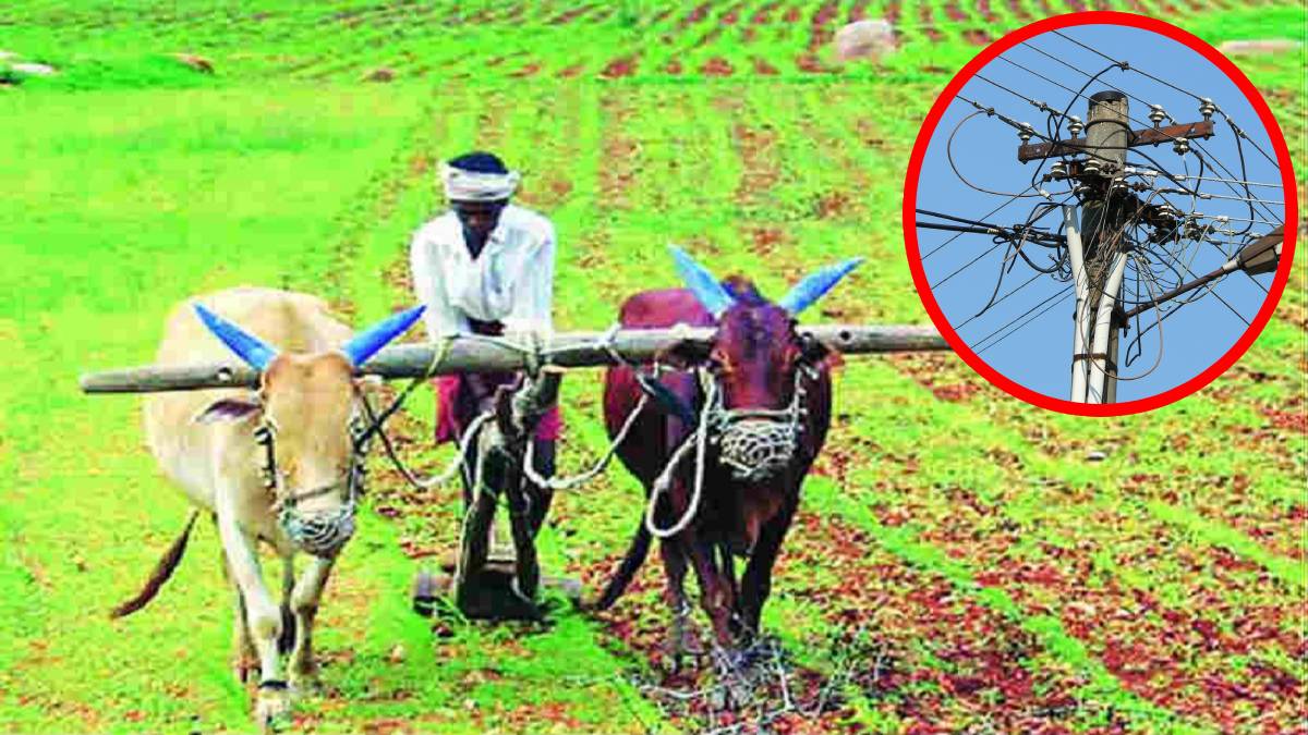 Free electricity, farmers, mahavitaran,