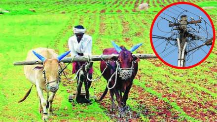 Free electricity, farmers, mahavitaran,