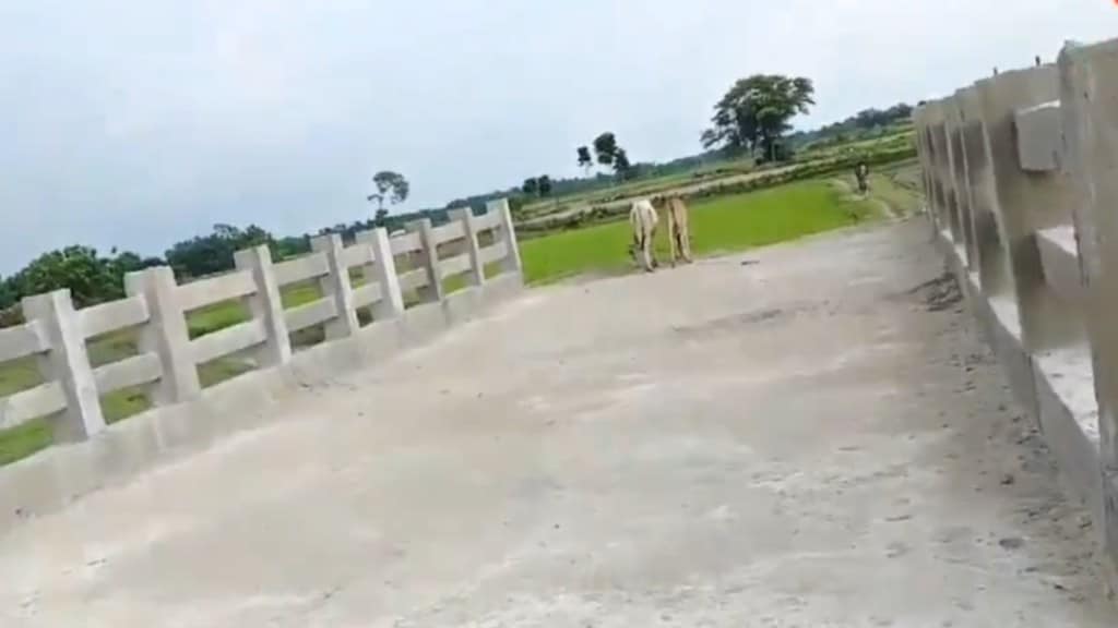 bihar bridge news