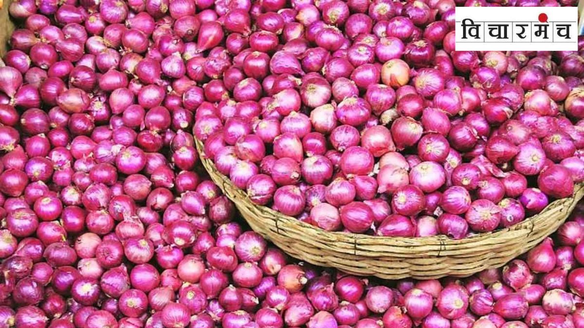 Onion Mahabank is not viable even easier viable storage of onion is possible