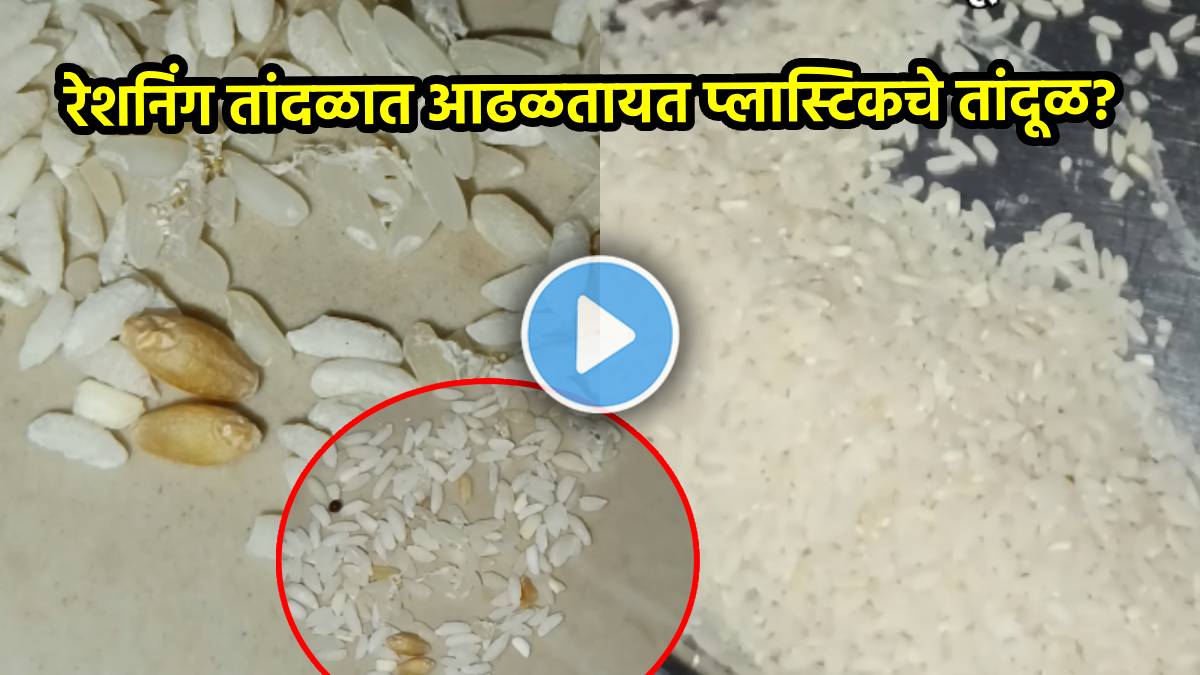 Ration Shop video Plastic Rice Distribution In rationing Shop Rumours citizens confusion