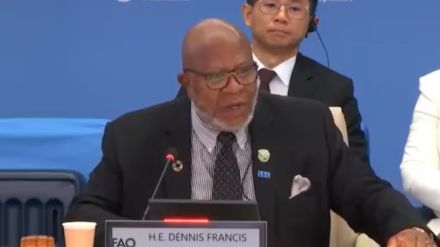 UNGA President Dennis Francis