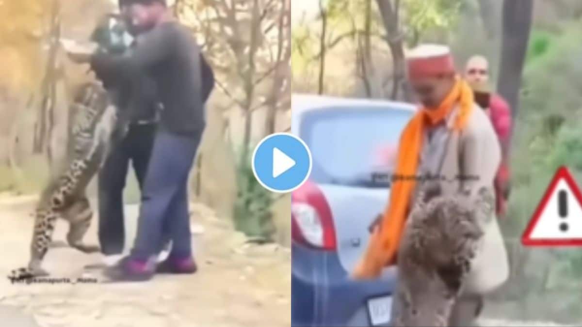 mothers love | leopard viral Video