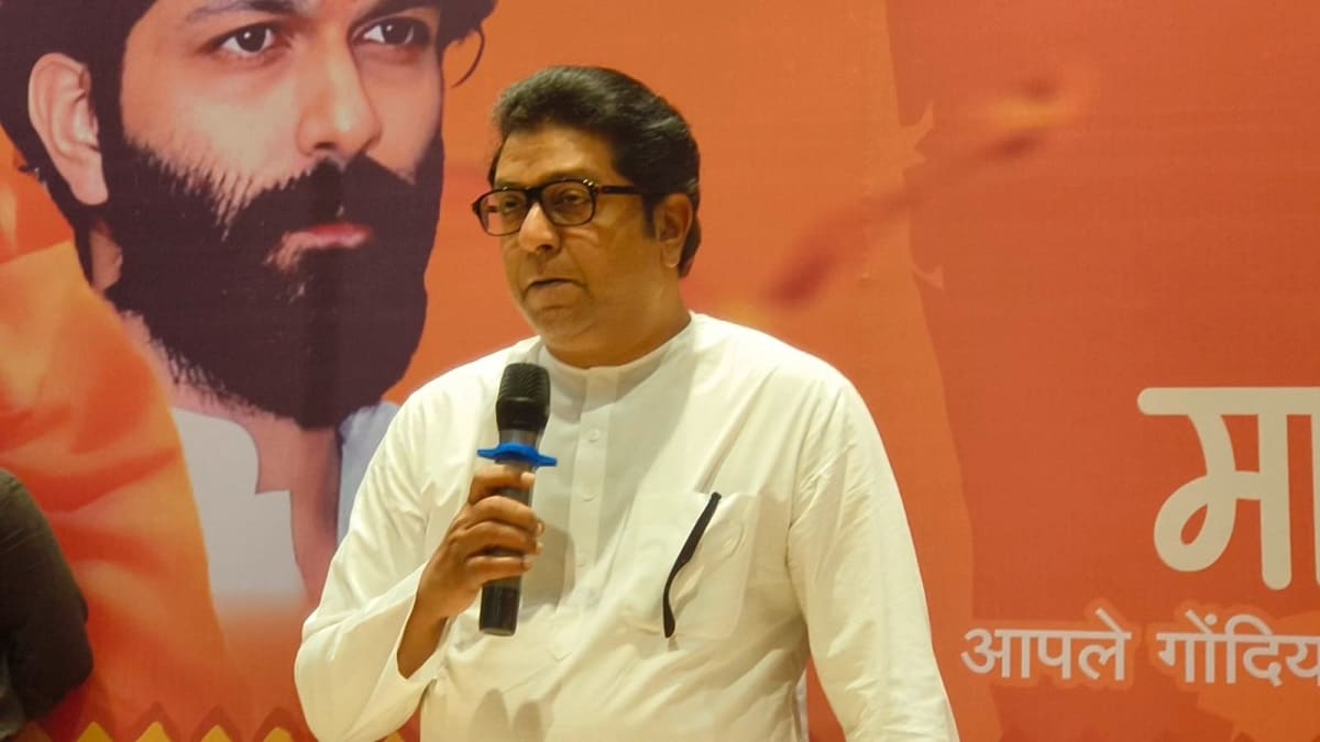 Raj Thackeray, Gondia, Raj Thackeray on Badlapur,