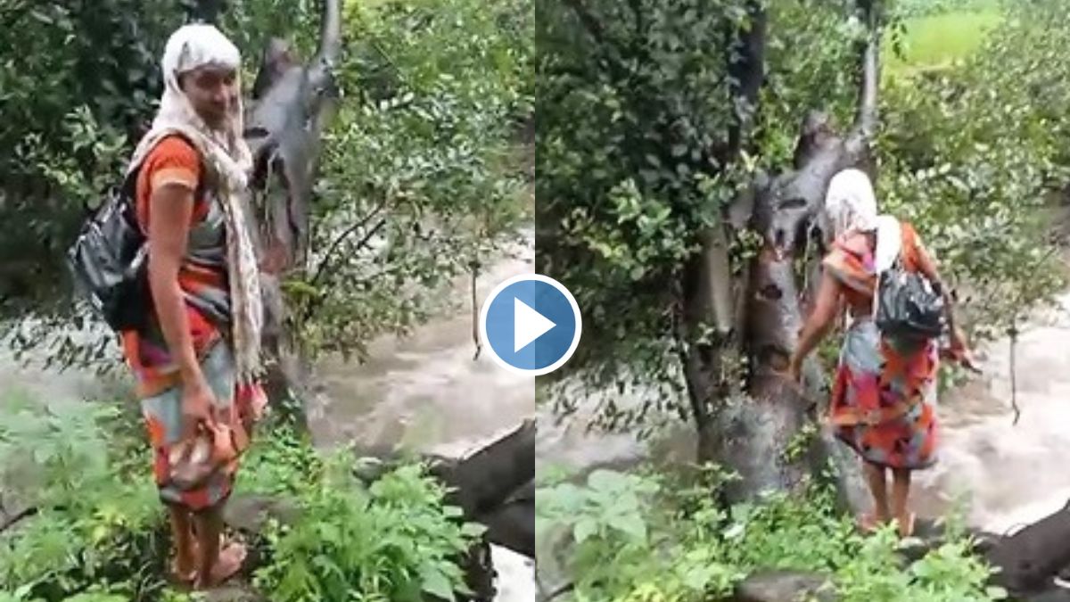 anganwadi worker cross the flooded river video goes viral