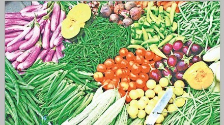 Kolhapur vegetable farms marathi news