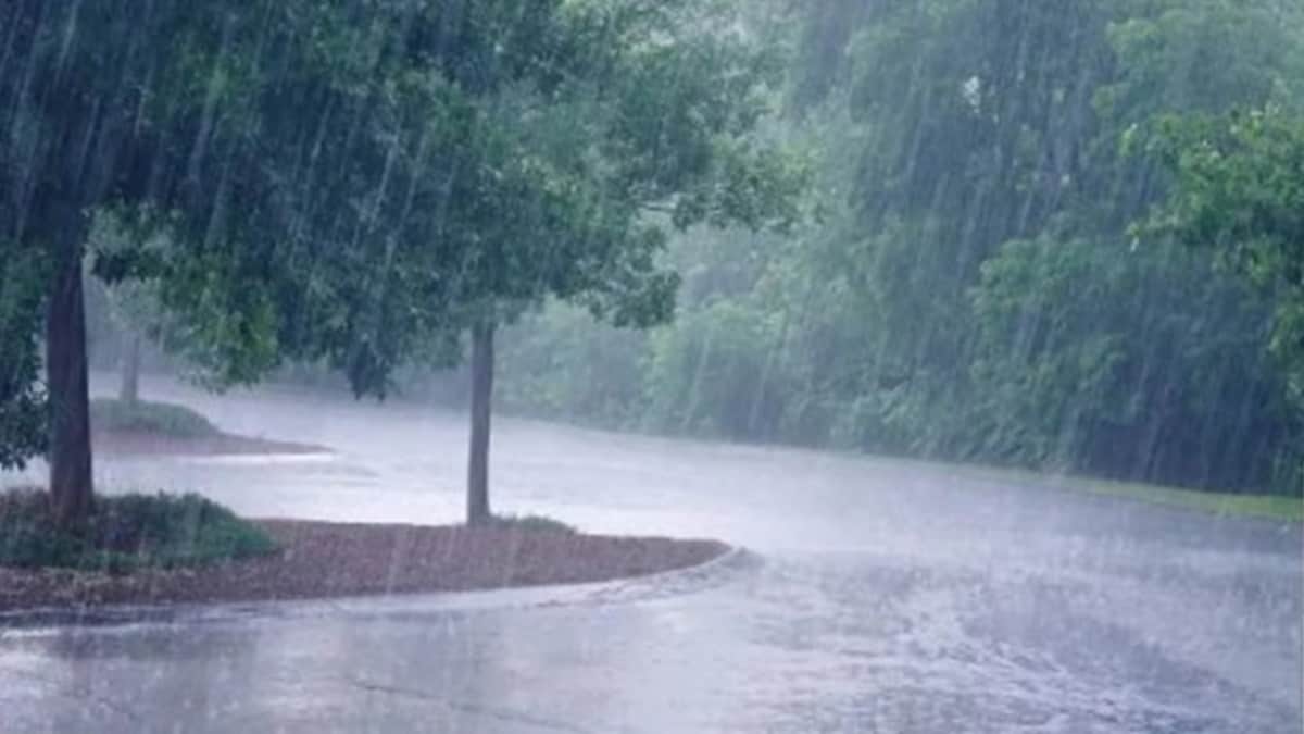 buldhana heavy rainfall marathi news