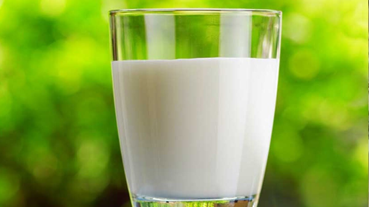 adulterers of milk and milk products