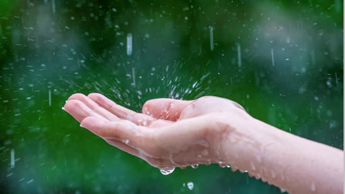 Maharashtra rain alert marathi news,