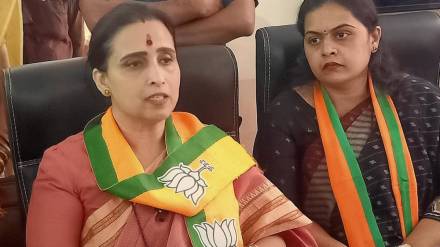 bombay high court slams bjp leader chitra wagh over game of pil